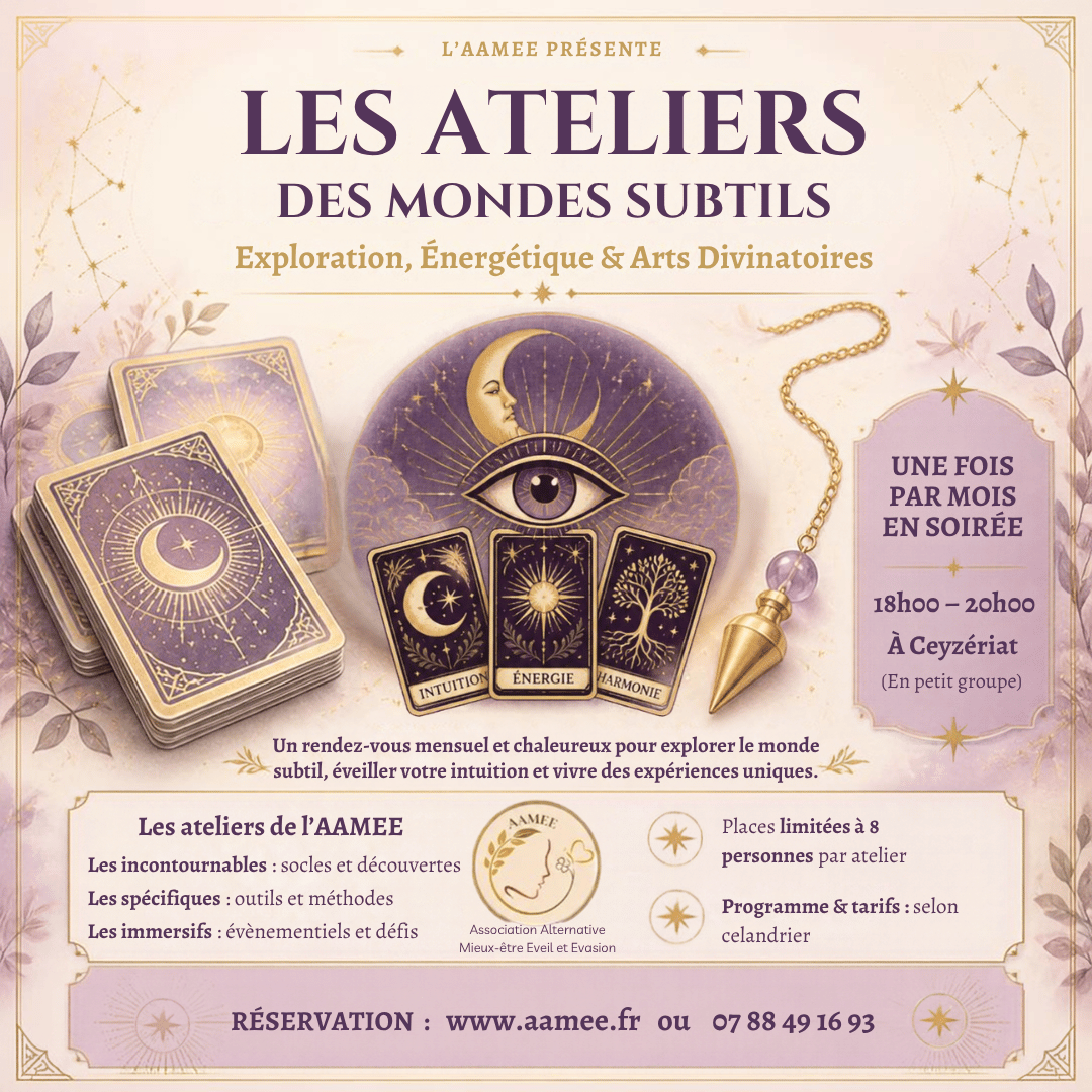 Affiche atelier de l'AAMEE (832 x 832 px)